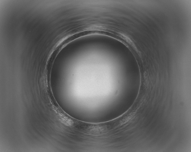 X0000060570931200511031305