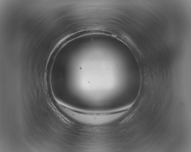 X0000060570932200511031305