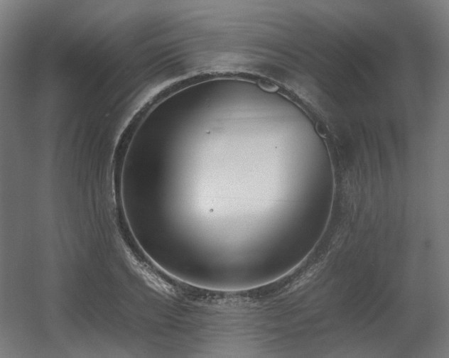 X0000060570934200511031305