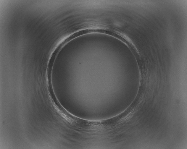 X0000060570935200511031305