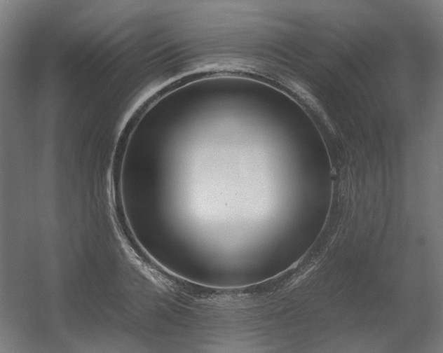 X0000060570936200511031305