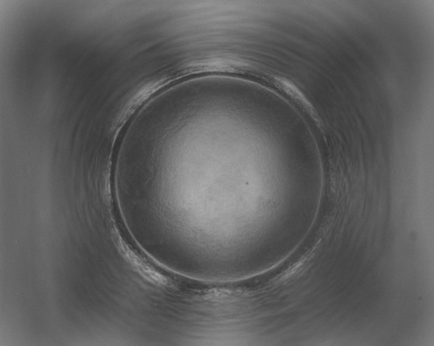 X0000060570938200511031305