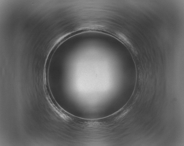 X0000060570940200511031306