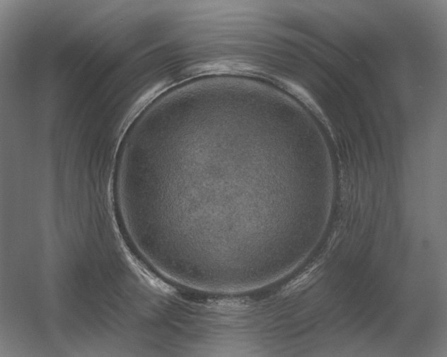X0000060570946200511031306