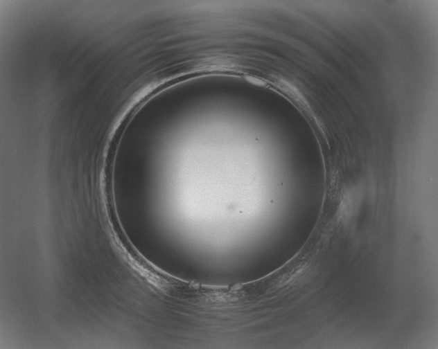 X0000060570947200511031306