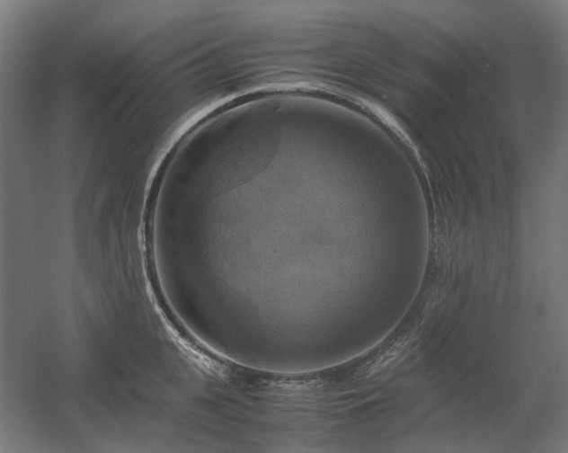 X0000060570951200511031306