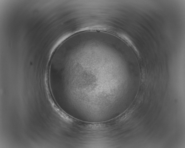 X0000060570952200511031306