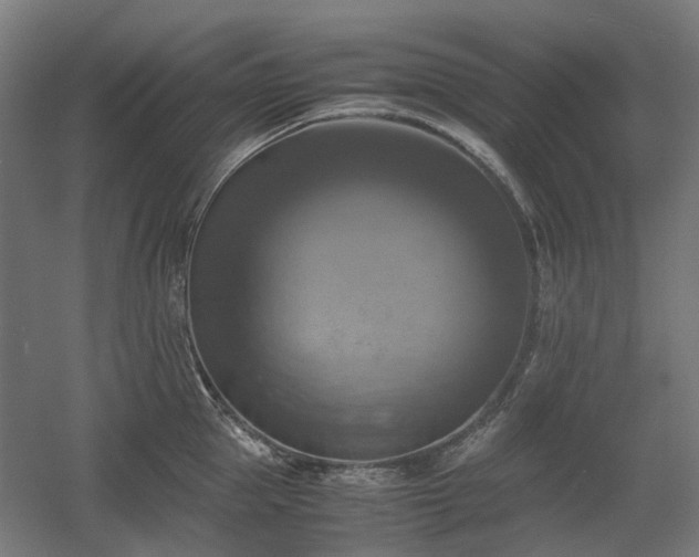X0000060570953200511031306