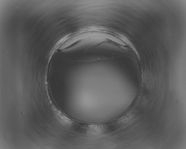 X0000060570954200511031306