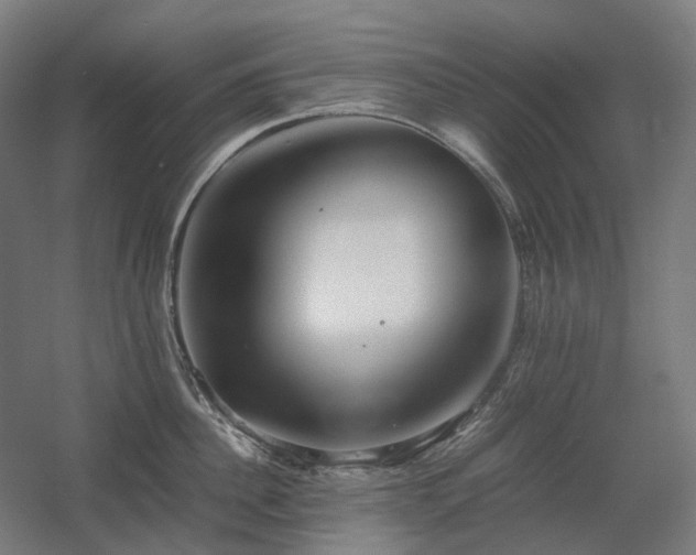 X0000060570956200511031306
