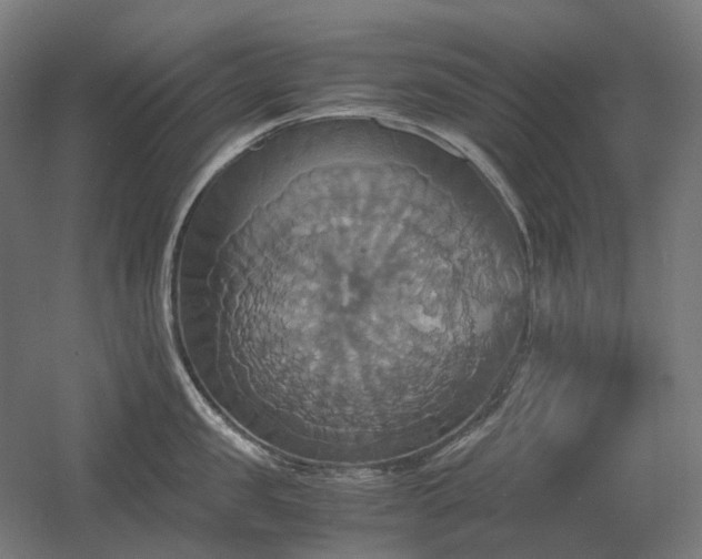 X0000060570957200511031306
