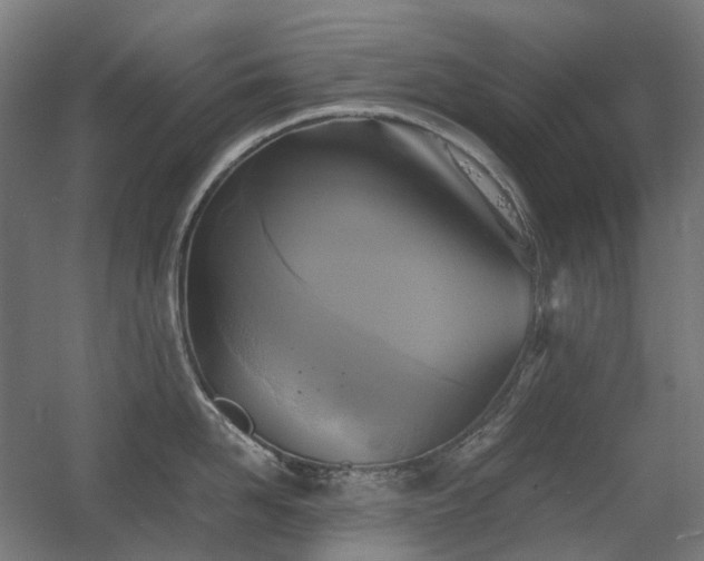 X0000060570958200511031306