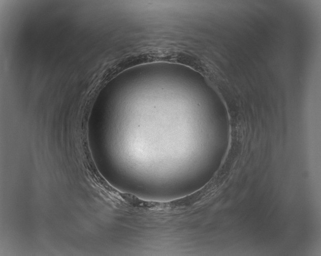 X0000060570961200511031305