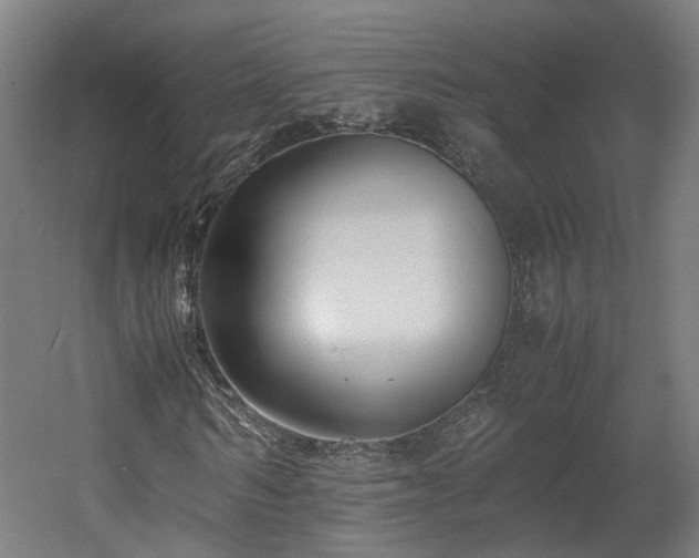 X0000060570962200511031305