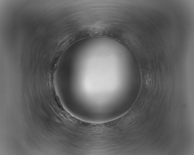 X0000060570964200511031305