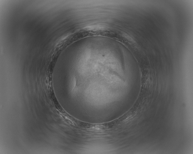 X0000060570966200511031305