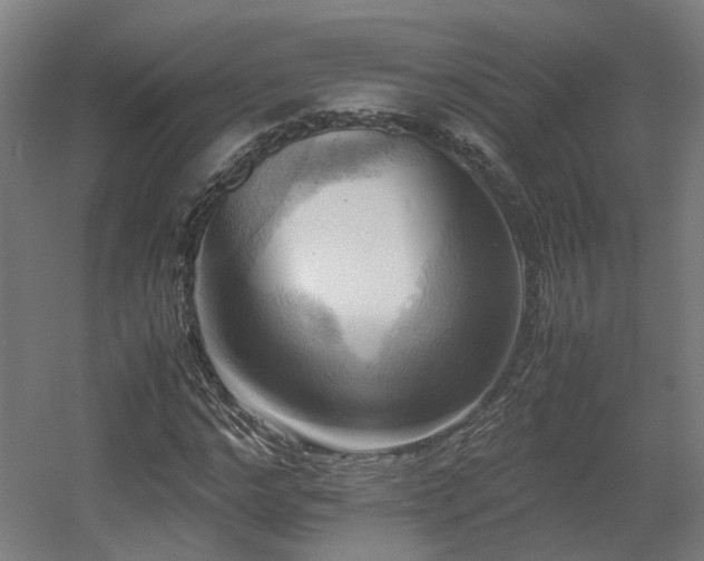 X0000060570968200511031305