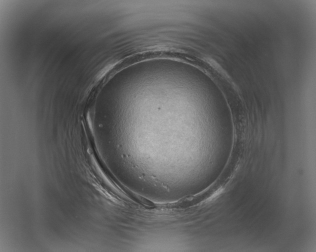 X0000060570969200511031305