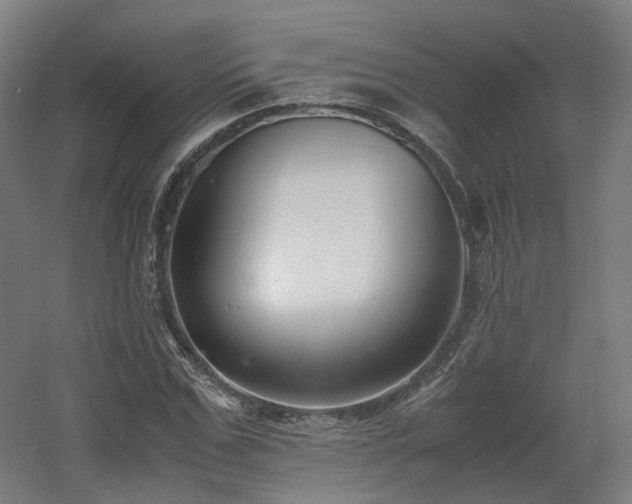 X0000060570971200511031305