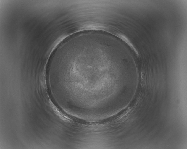 X0000060570972200511031305