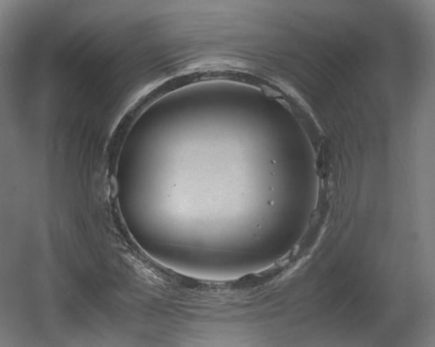 X0000060570973200511031305