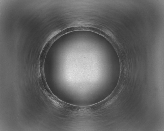X0000060570974200511031305