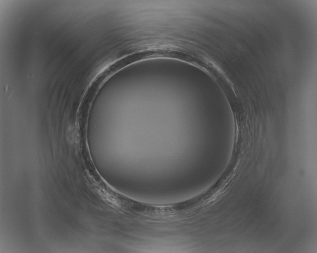 X0000060570975200511031305