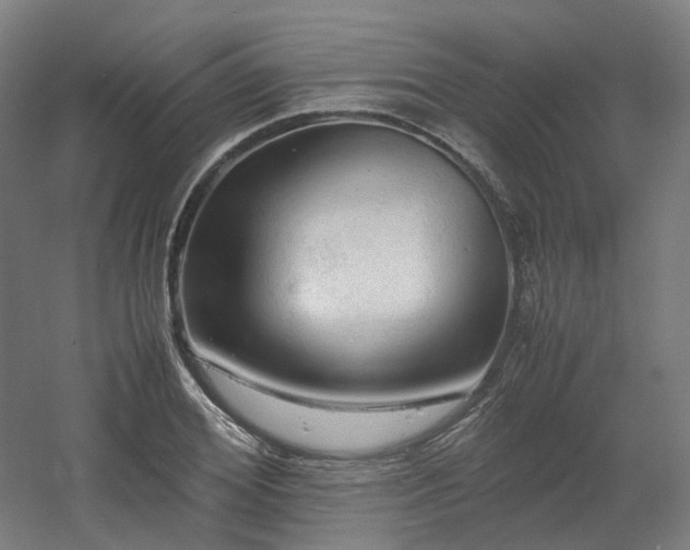 X0000060570980200511031305