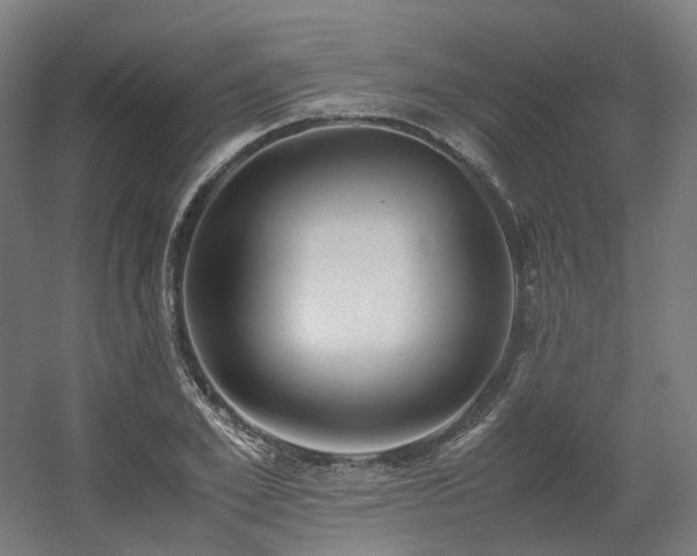 X0000060570981200511031305