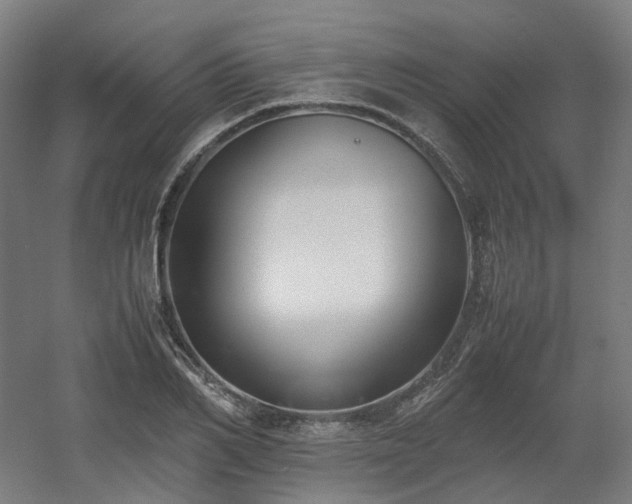 X0000060570982200511031305