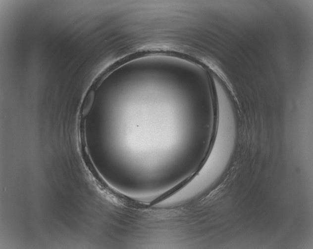 X0000060570984200511031305