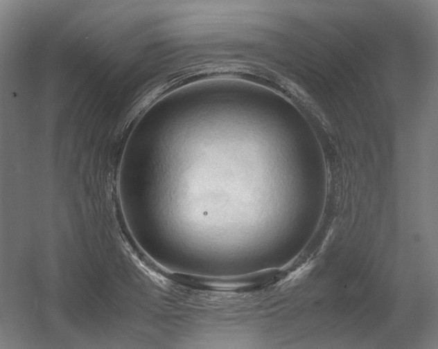 X0000060570985200511031305