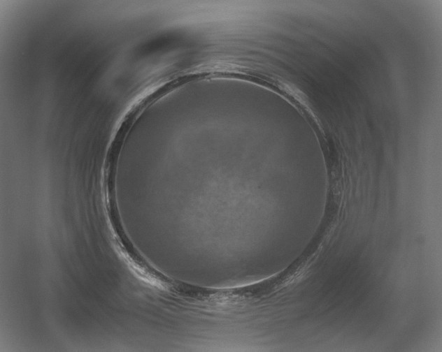 X0000060570987200511031305