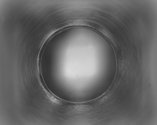 X0000060570988200511031305