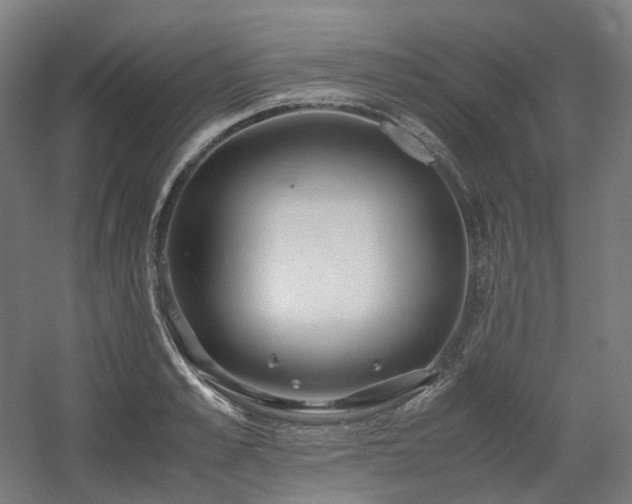 X0000060570989200511031305