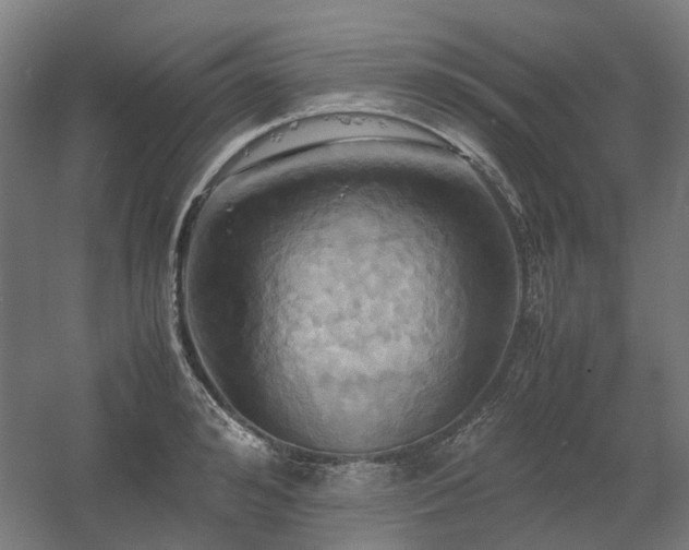 X0000060570992200511031305