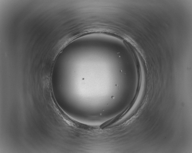 X0000060570993200511031304