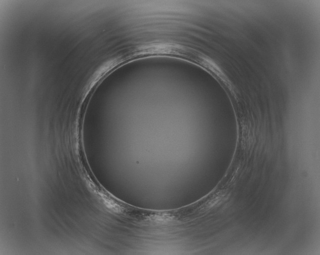 X0000060570994200511031304