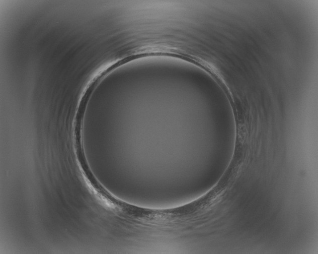 X0000060570995200511031304