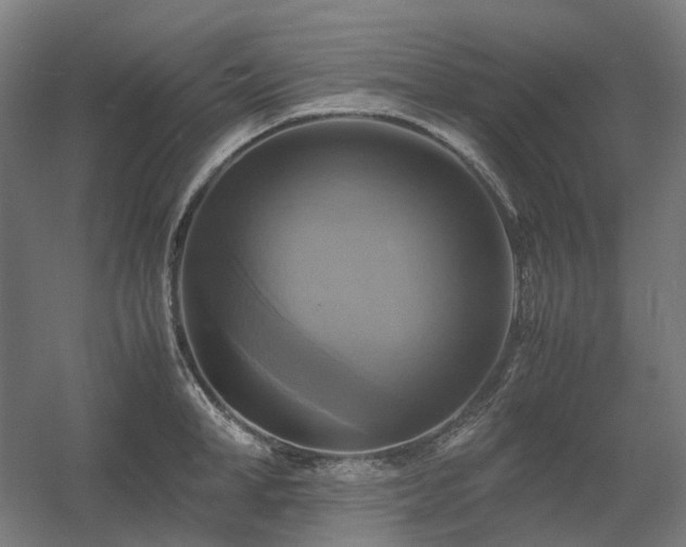 X0000060570998200511031304