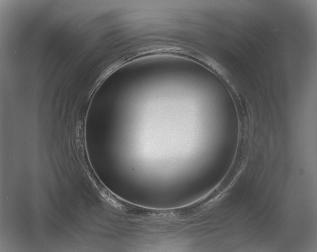 X0000060571001200511031304