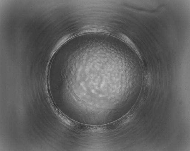 X0000060571002200511031304