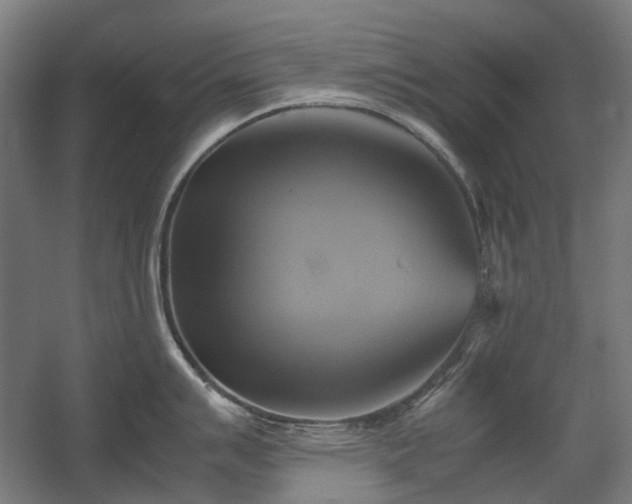 X0000060571007200511031304