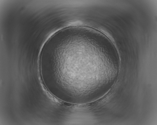 X0000060571008200511031304