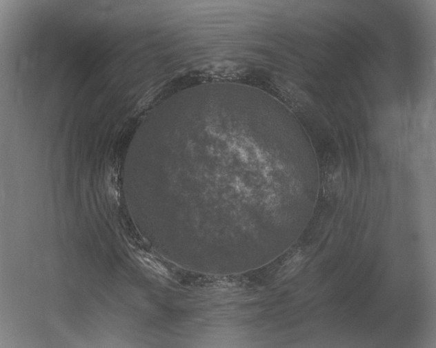 X0000060571010200511031303