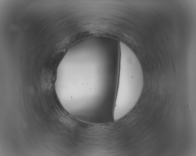 X0000060571012200511031303