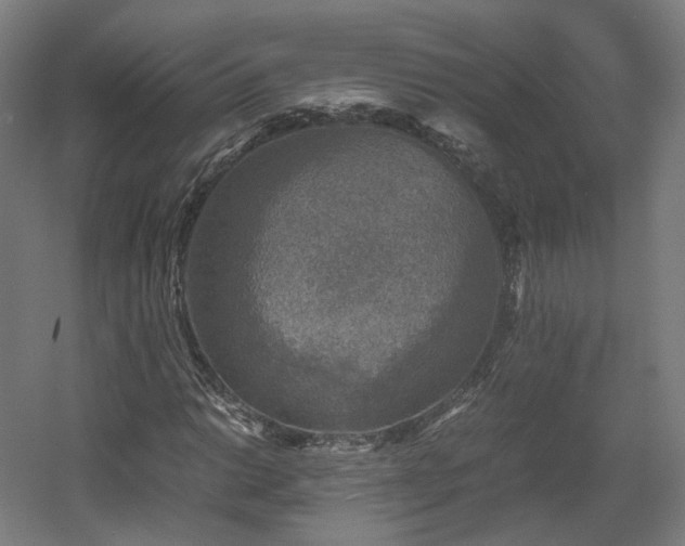 X0000060571014200511031304