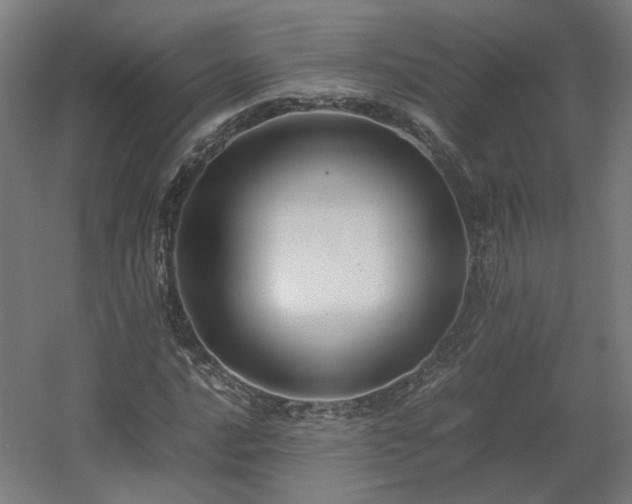 X0000060571016200511031304
