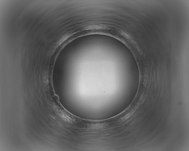 X0000060571017200511031304