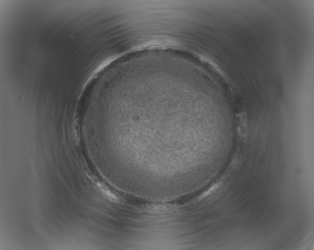 X0000060571018200511031304